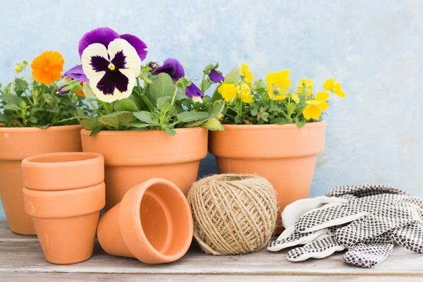 428_2middenassortment-with-flowers-gardening-tools_23-2148442411.jpg